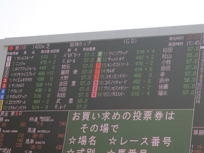 131223_阪神競馬場.JPG